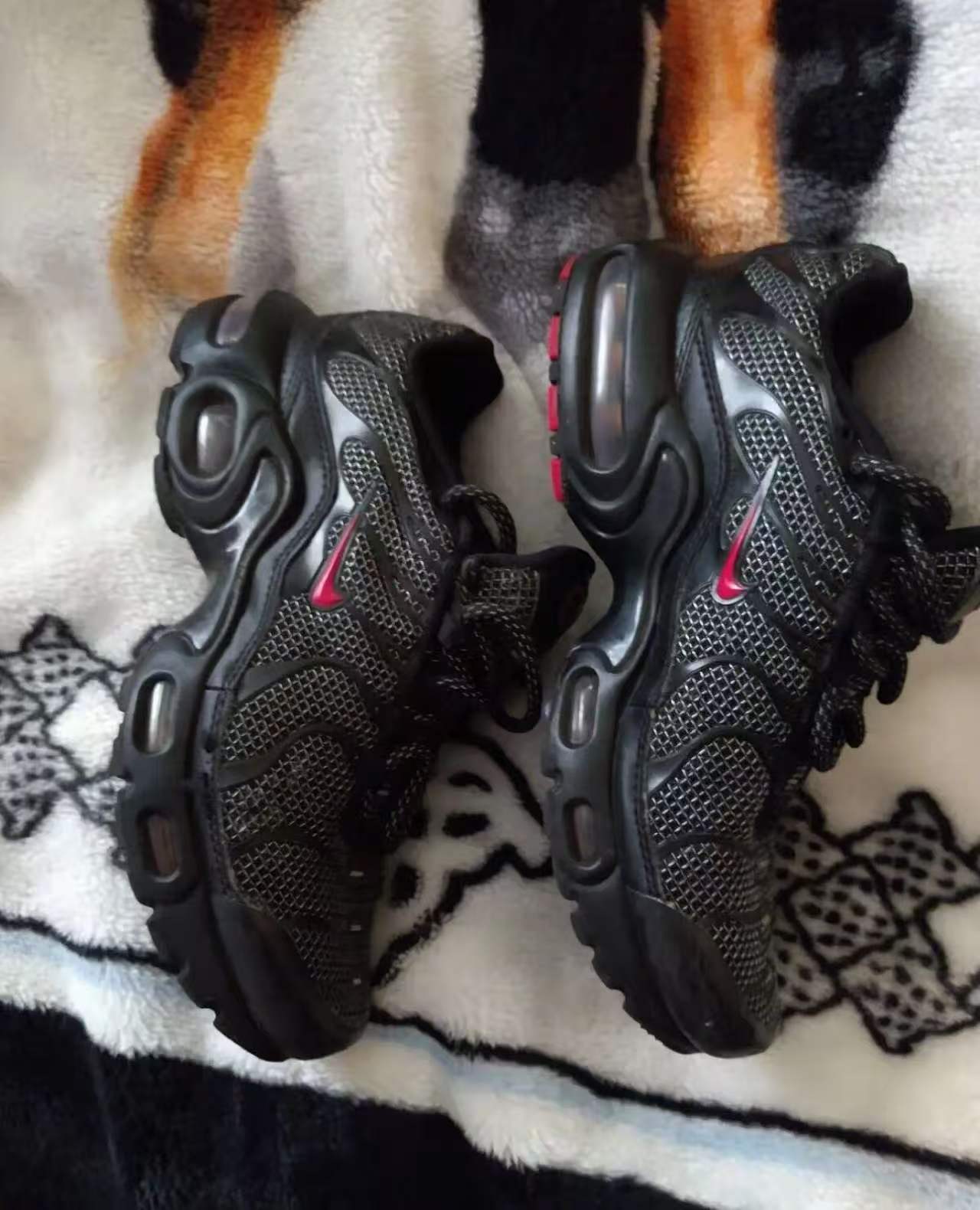 shoe sample