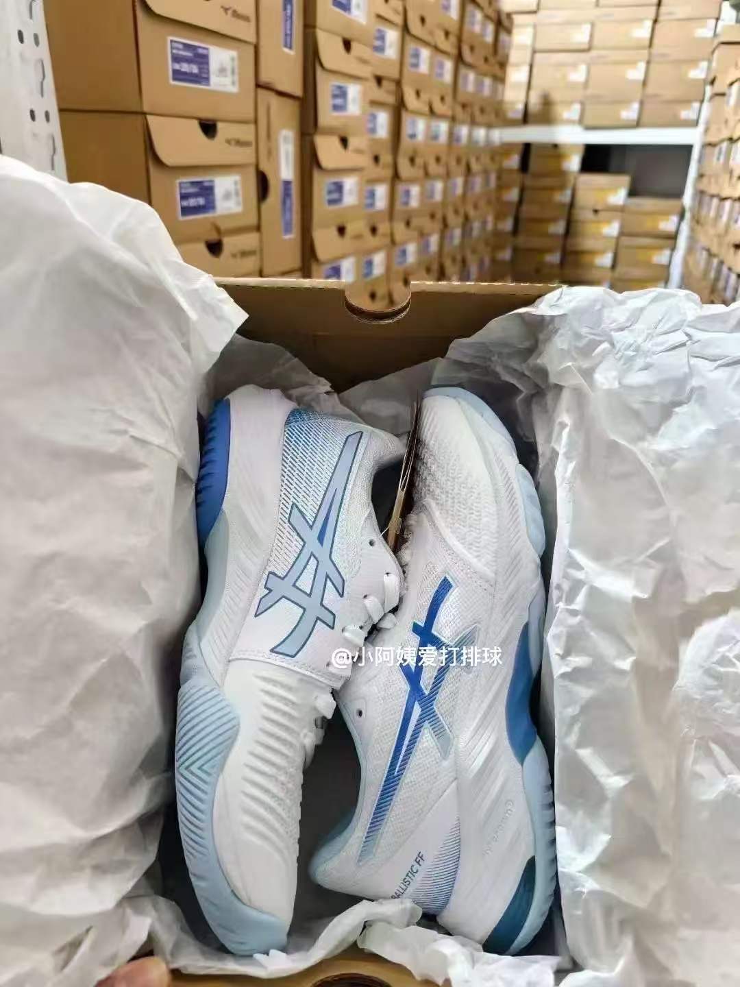shoe sample