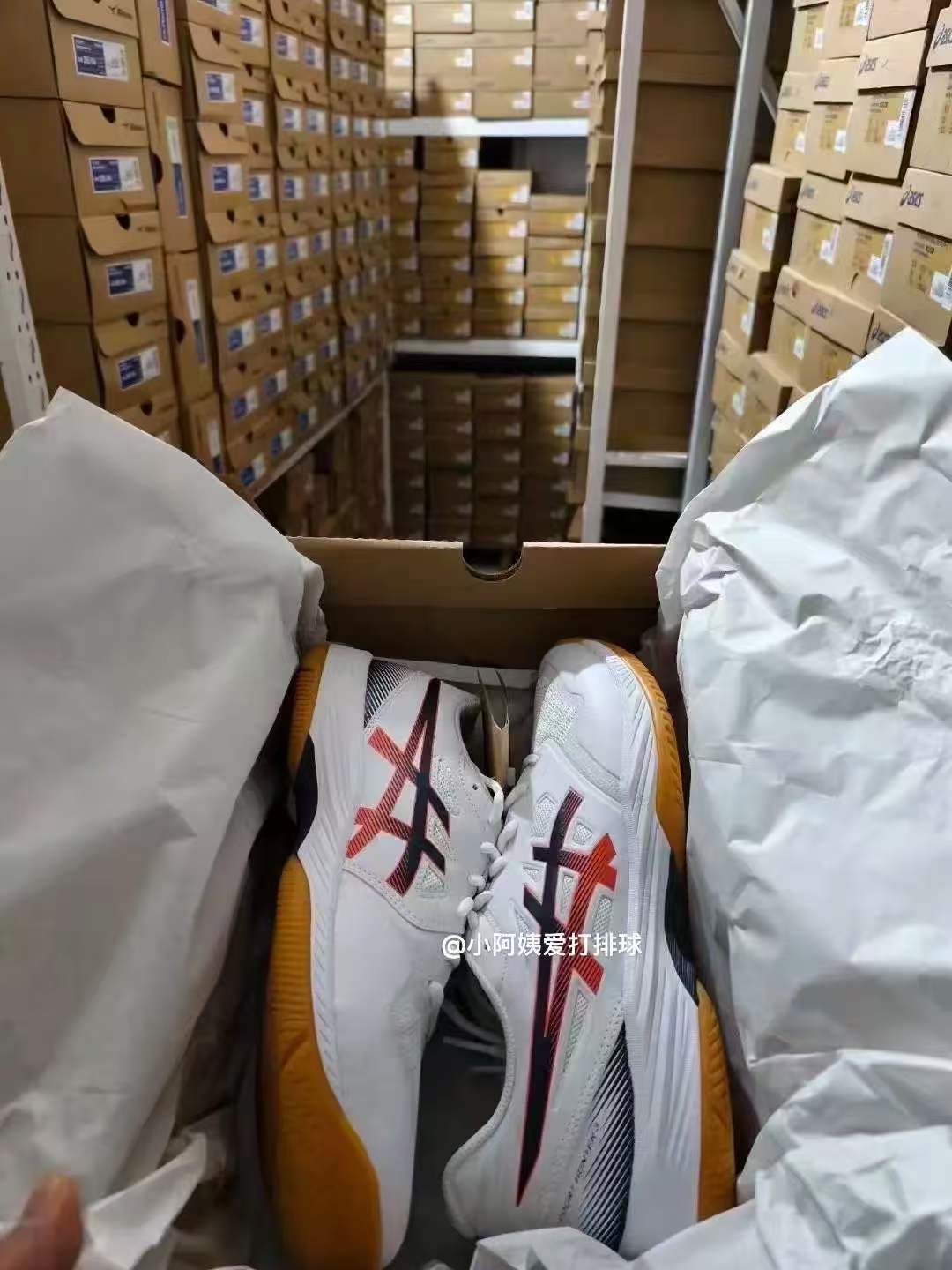 shoe sample