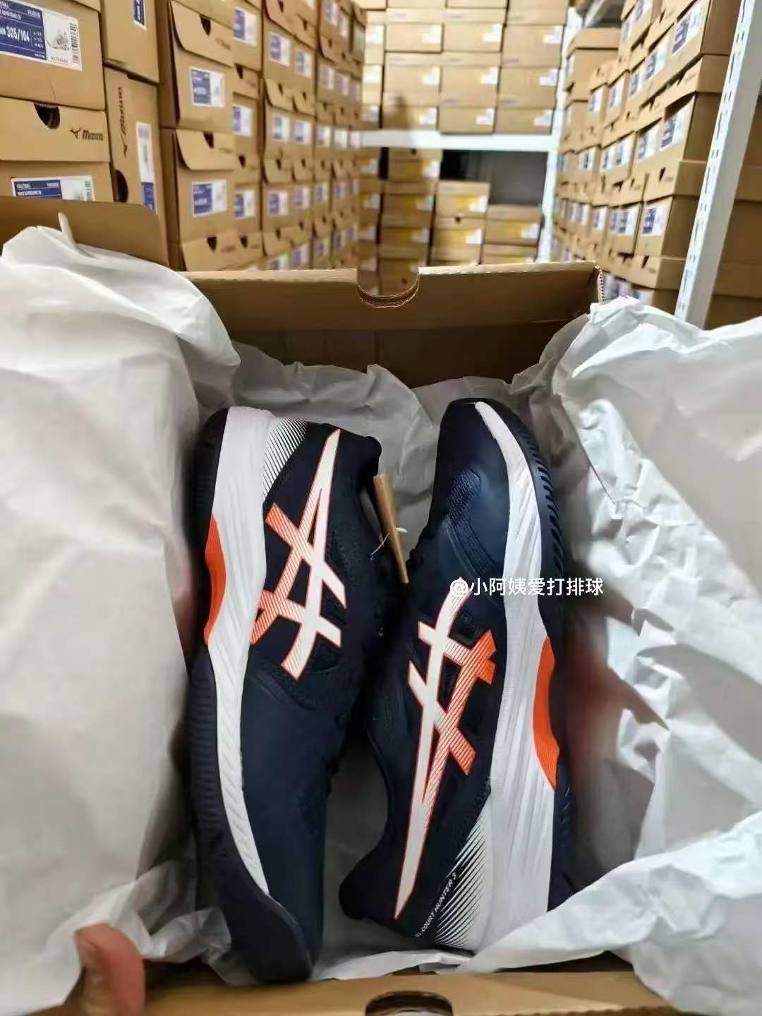 shoe sample